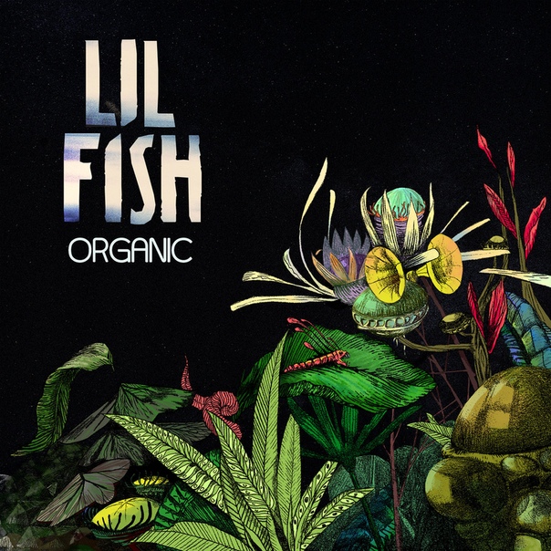 Lil Fish – Organic
